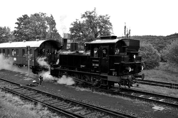 Dampflok mit Waggon fährt durch eine grüne Landschaft, umgeben von Bäumen.