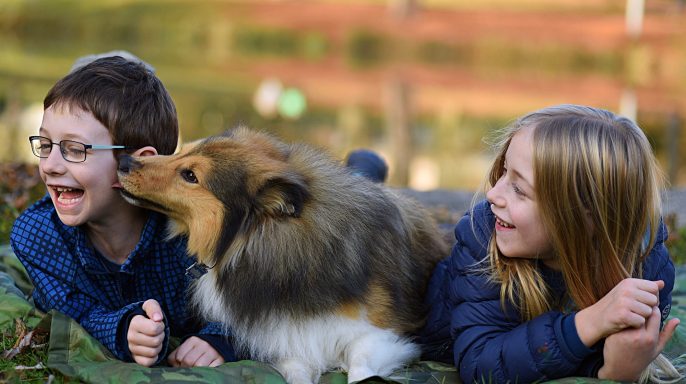 Lachende Kinder liegen im Gras, während ein Hund sie freundlich anstupst.